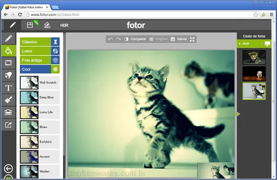 Fotor Editor de fotos online - Fotor